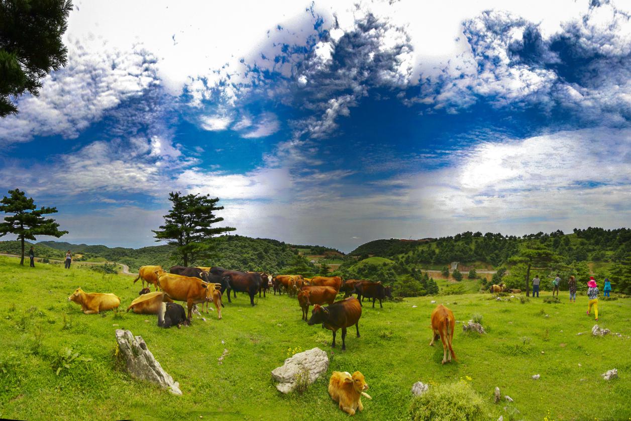 百里荒风景区 百里荒草原位于湖北宜昌夷陵区与远安县,当阳市的交汇处