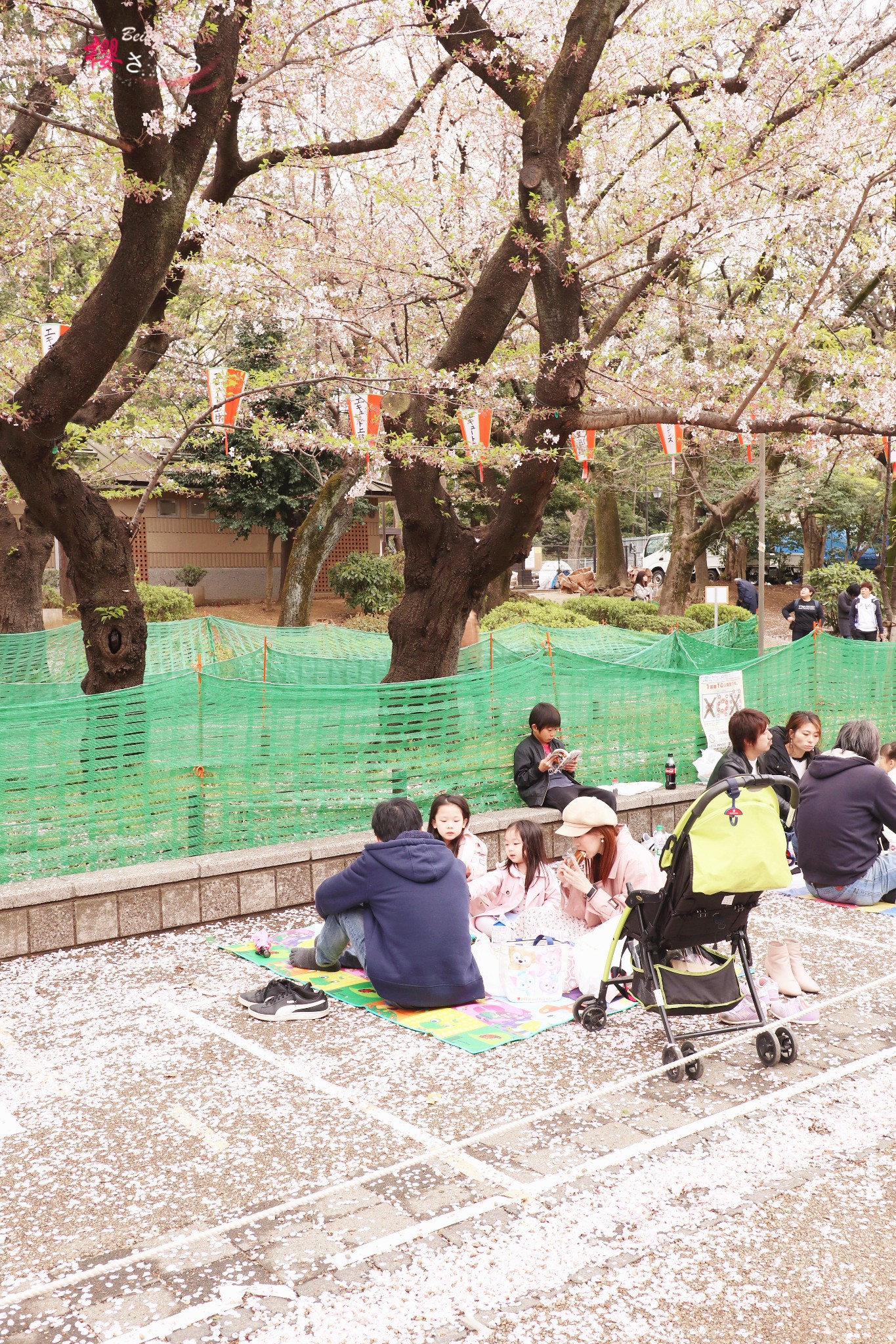 東京自助遊攻略