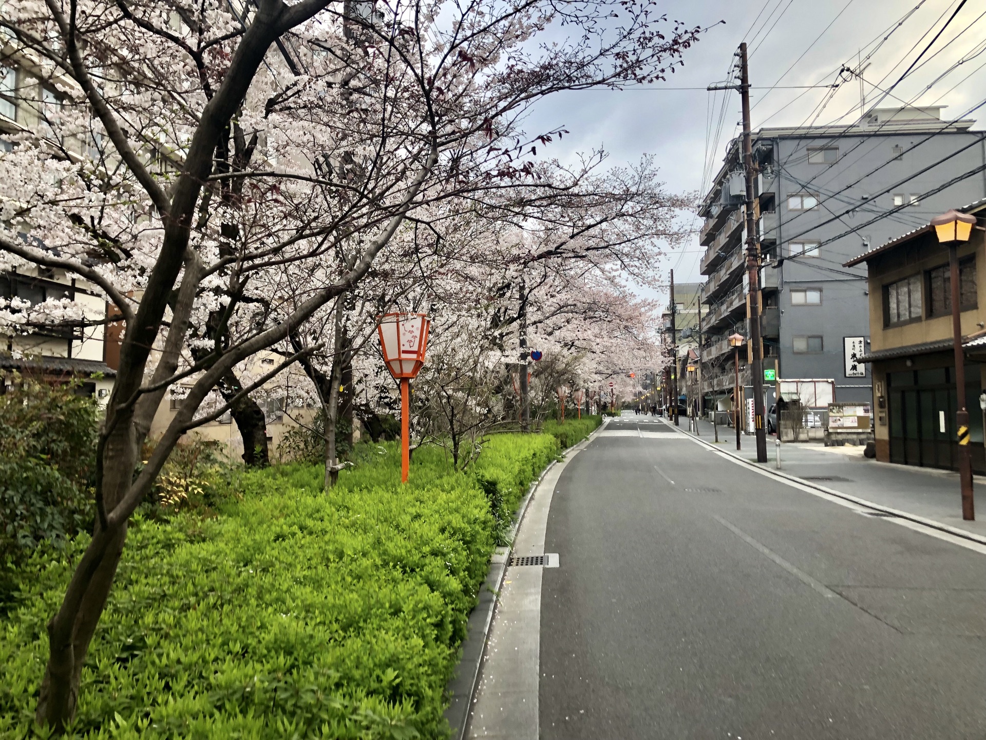 京都自助遊攻略