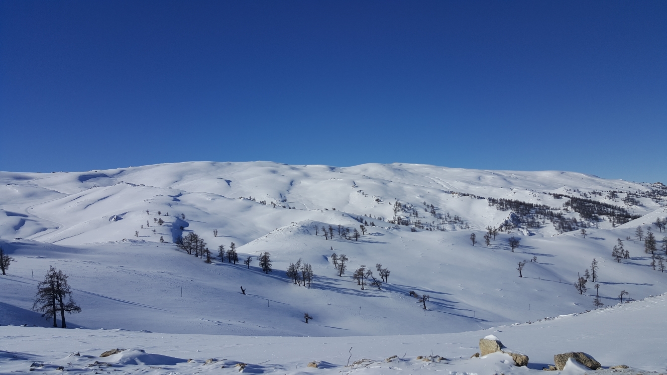 第一次入疆,阿勒泰将军山滑雪场 阿尔泰山野雪公园,感受粉雪_游记