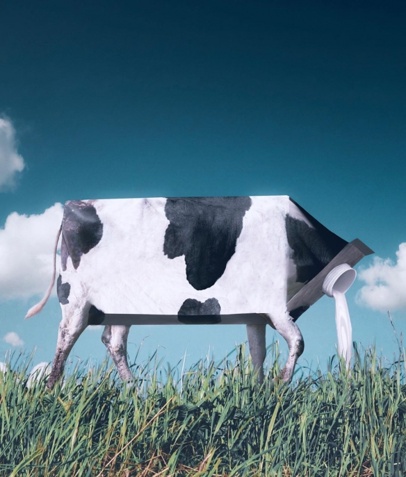 "别人的19岁"系列:马来西亚19岁艺术家视觉艺术作品欣赏