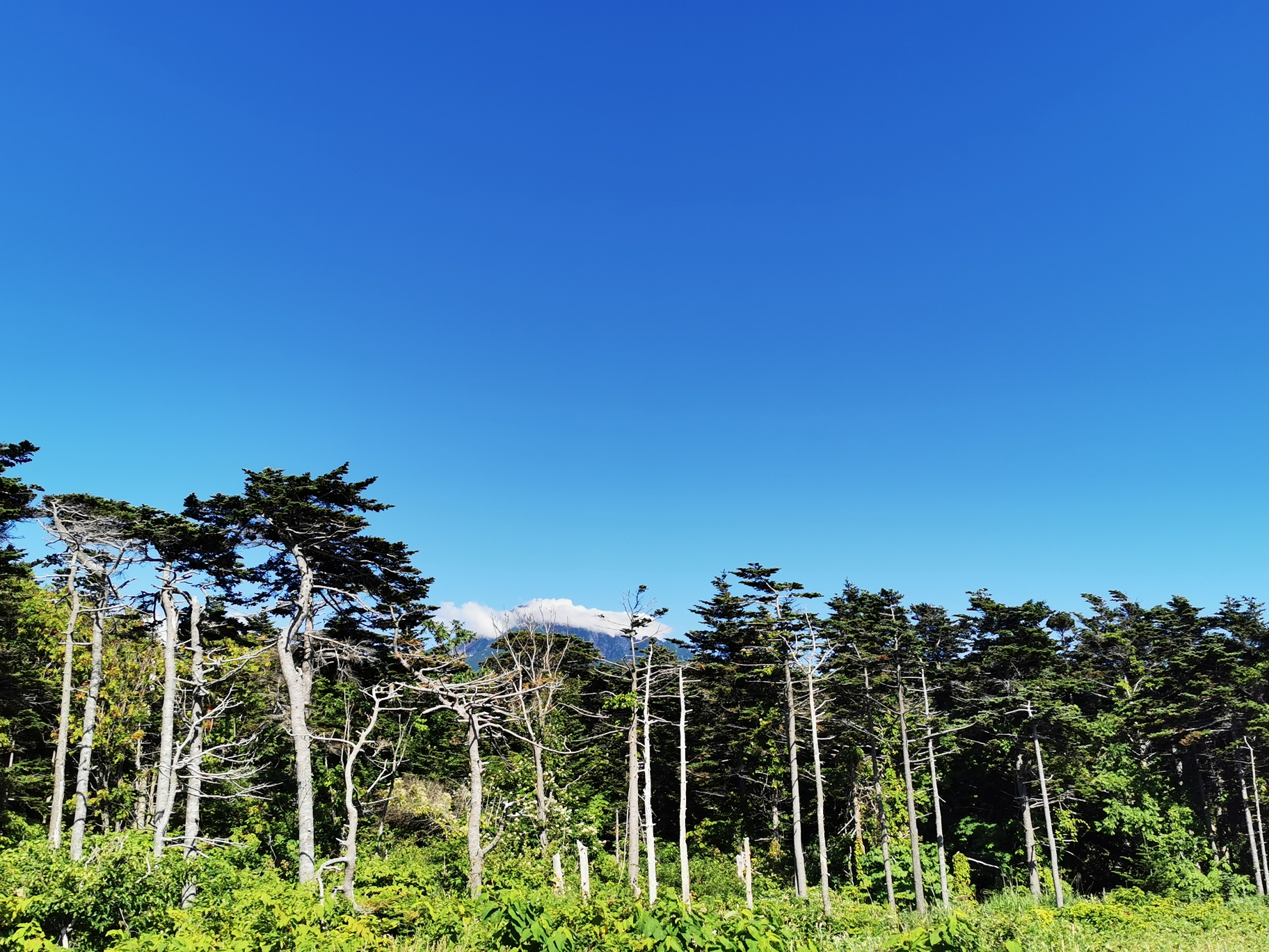 北海道自助遊攻略