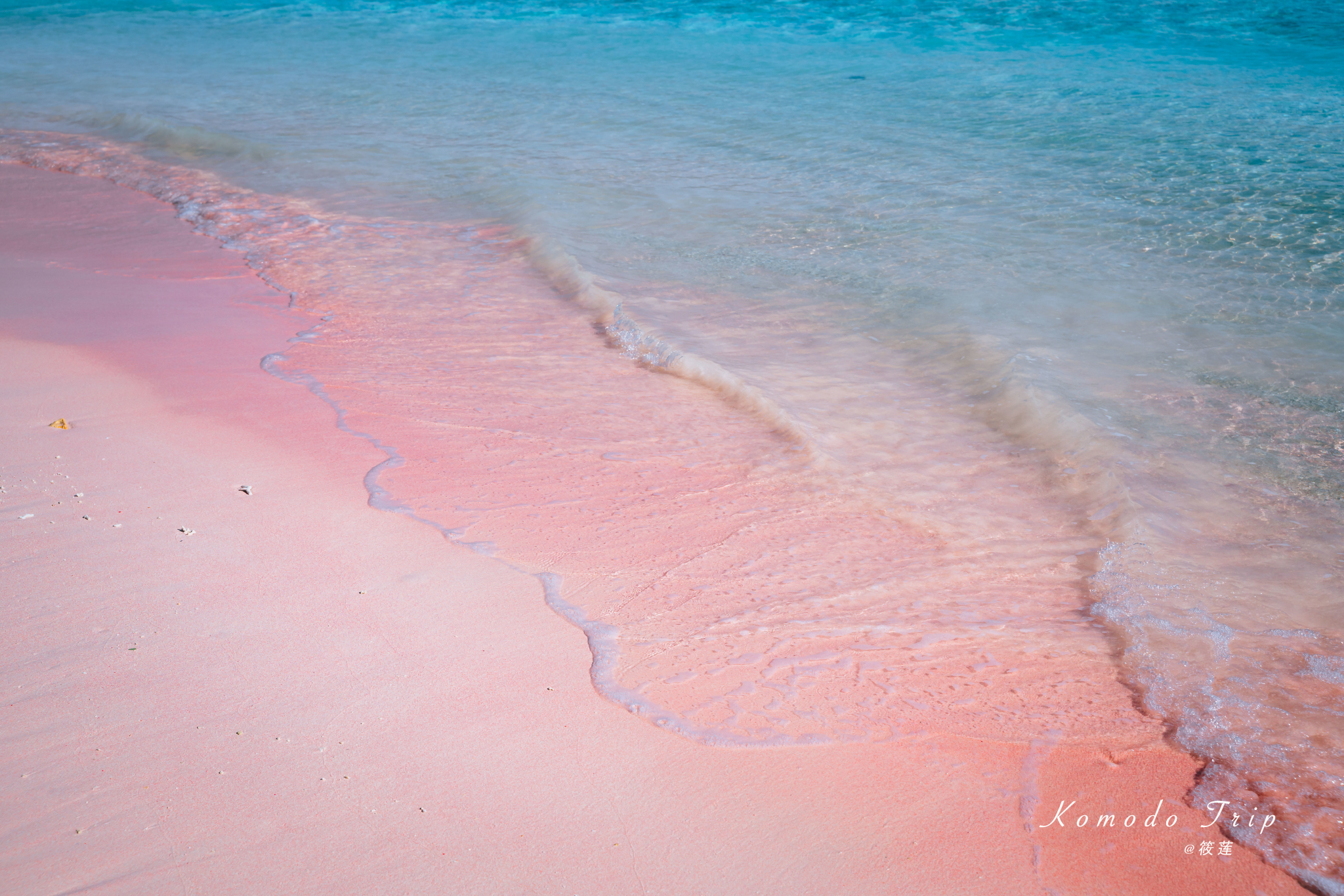 科莫多 的粉色沙滩并不是沙子本身是粉色的,而是 白沙 滩中混有红色