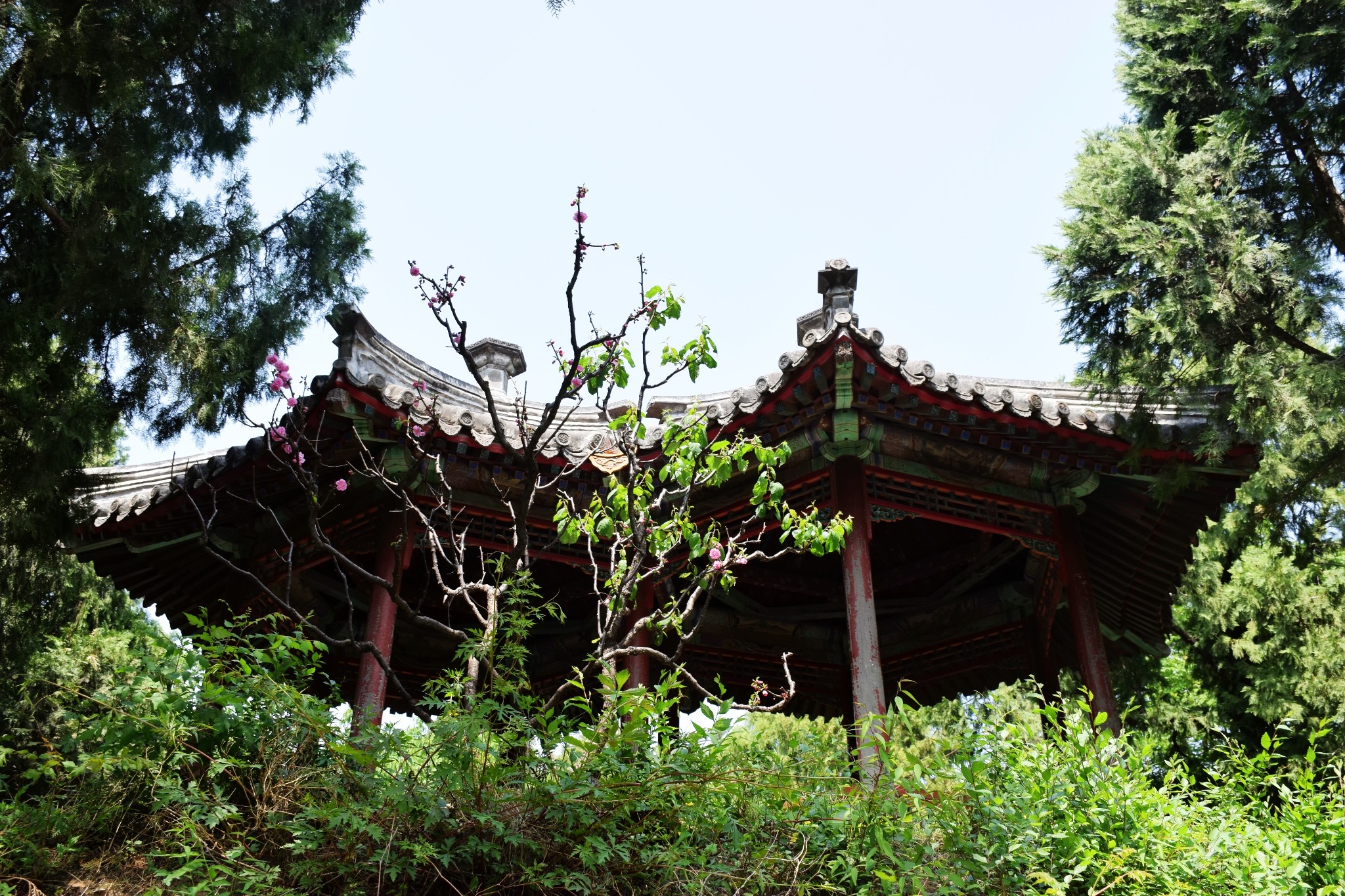 北京颐和园及天坛游览攻略指南【指路人世界遗产攻略】