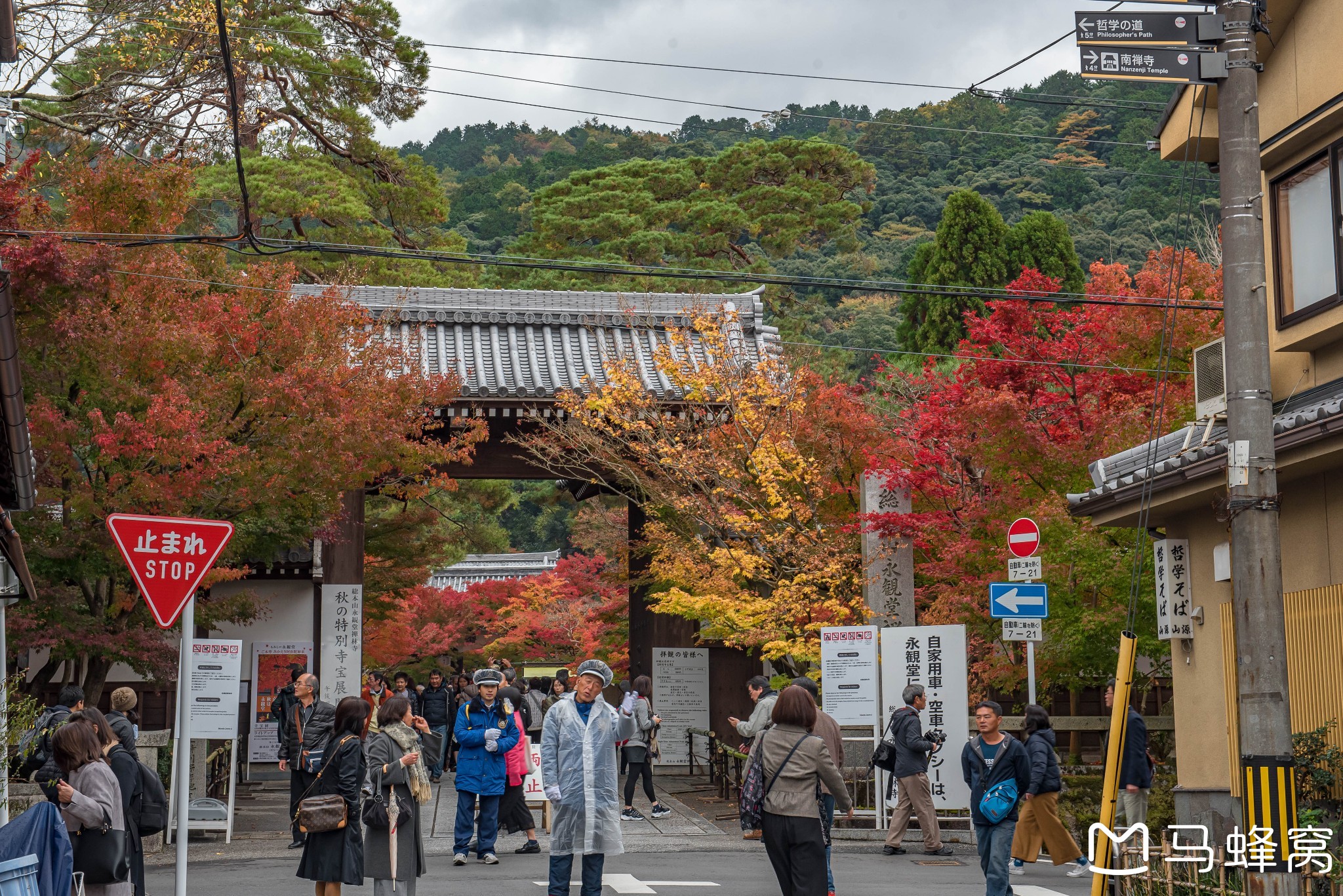 京都自助遊攻略