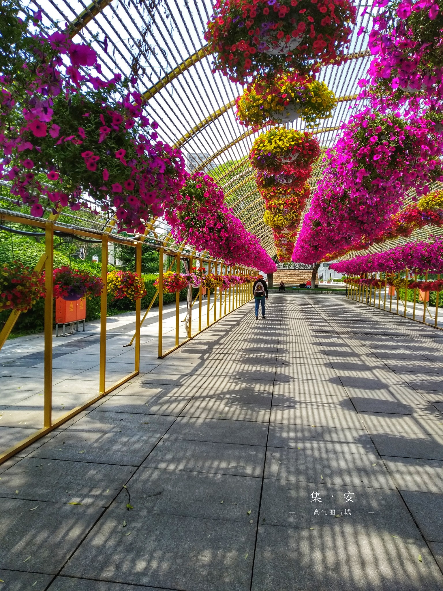 集安市文化中心