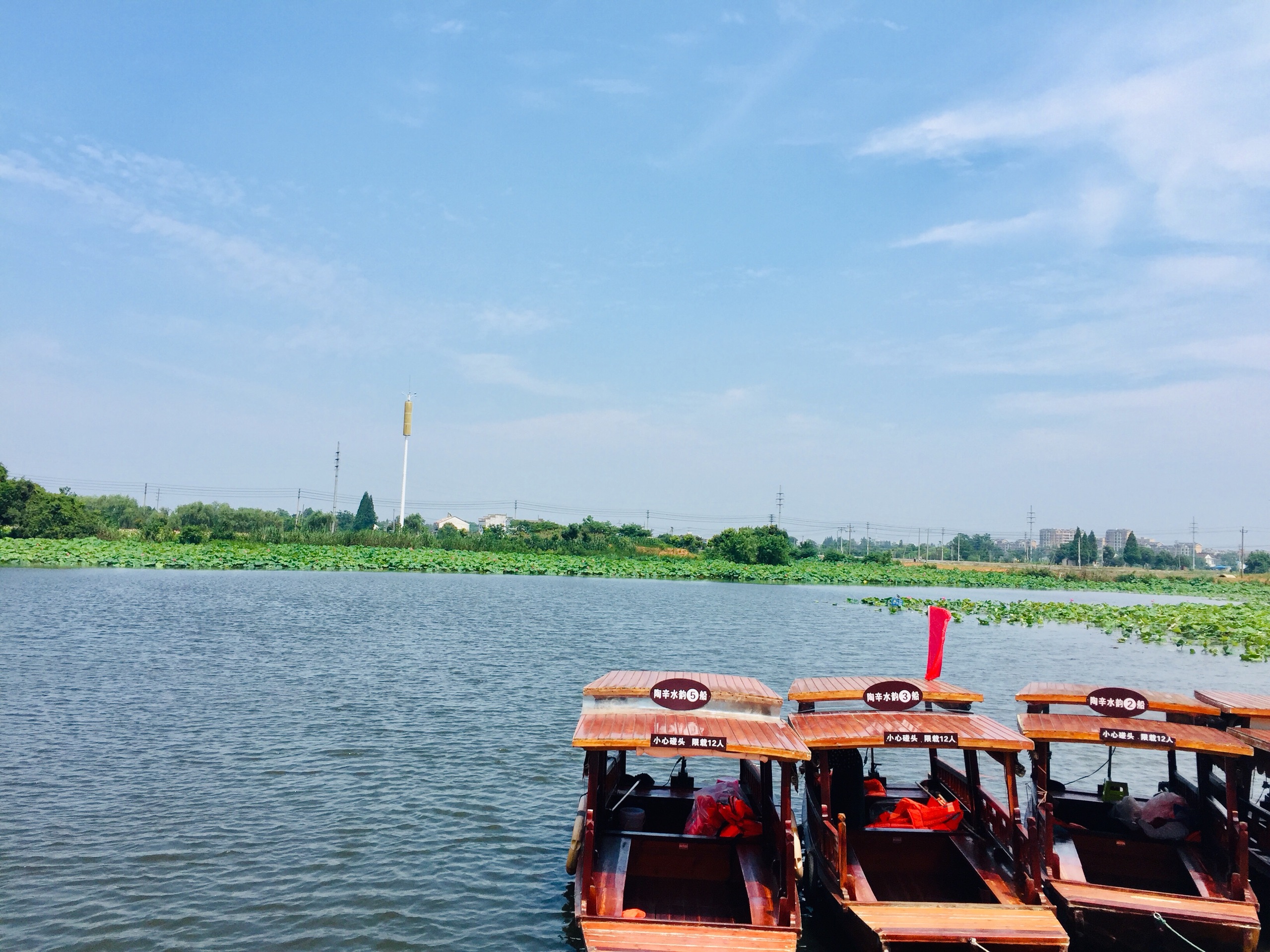 芜湖陶辛水韵图片