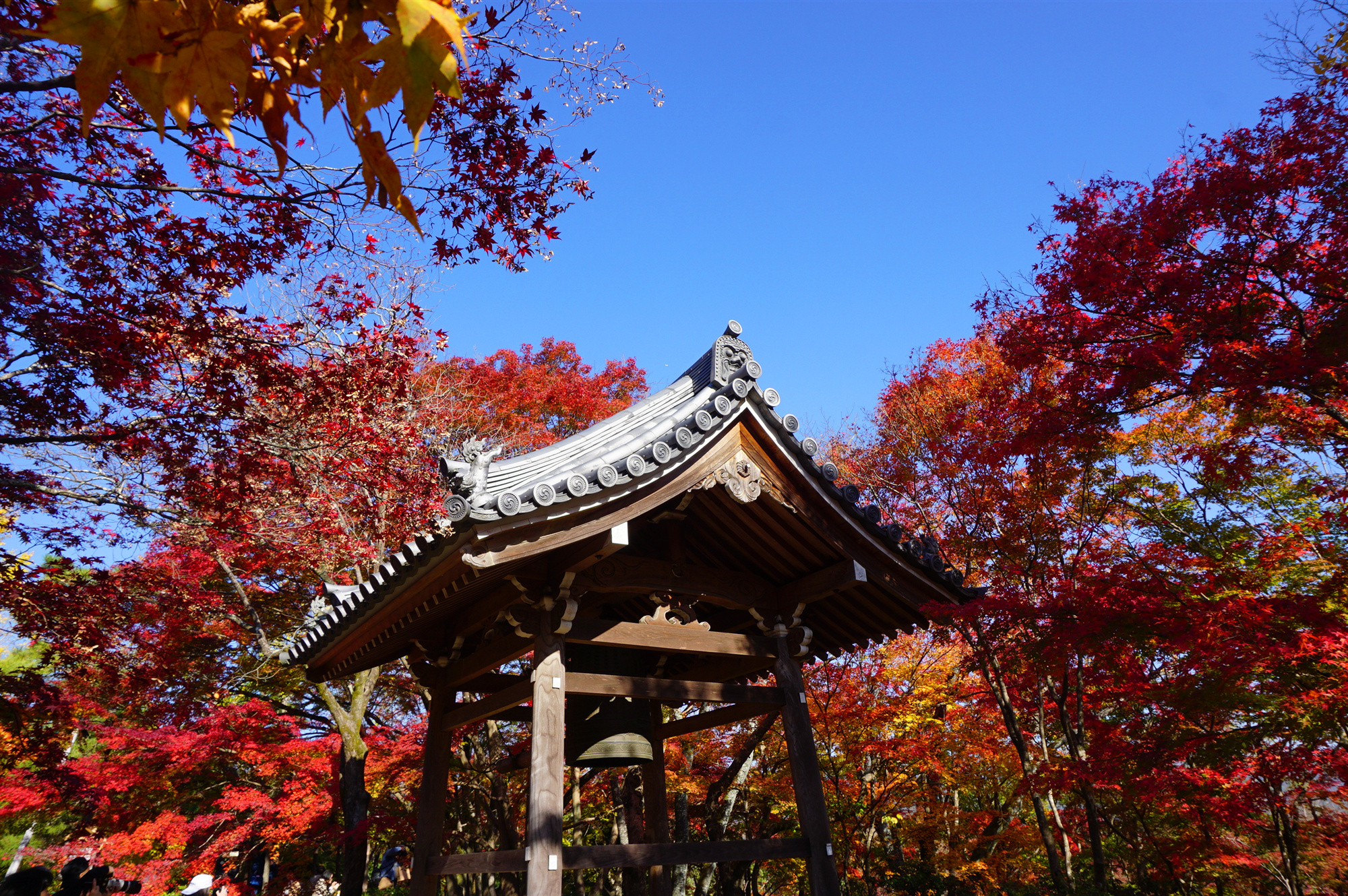 京都自助遊攻略