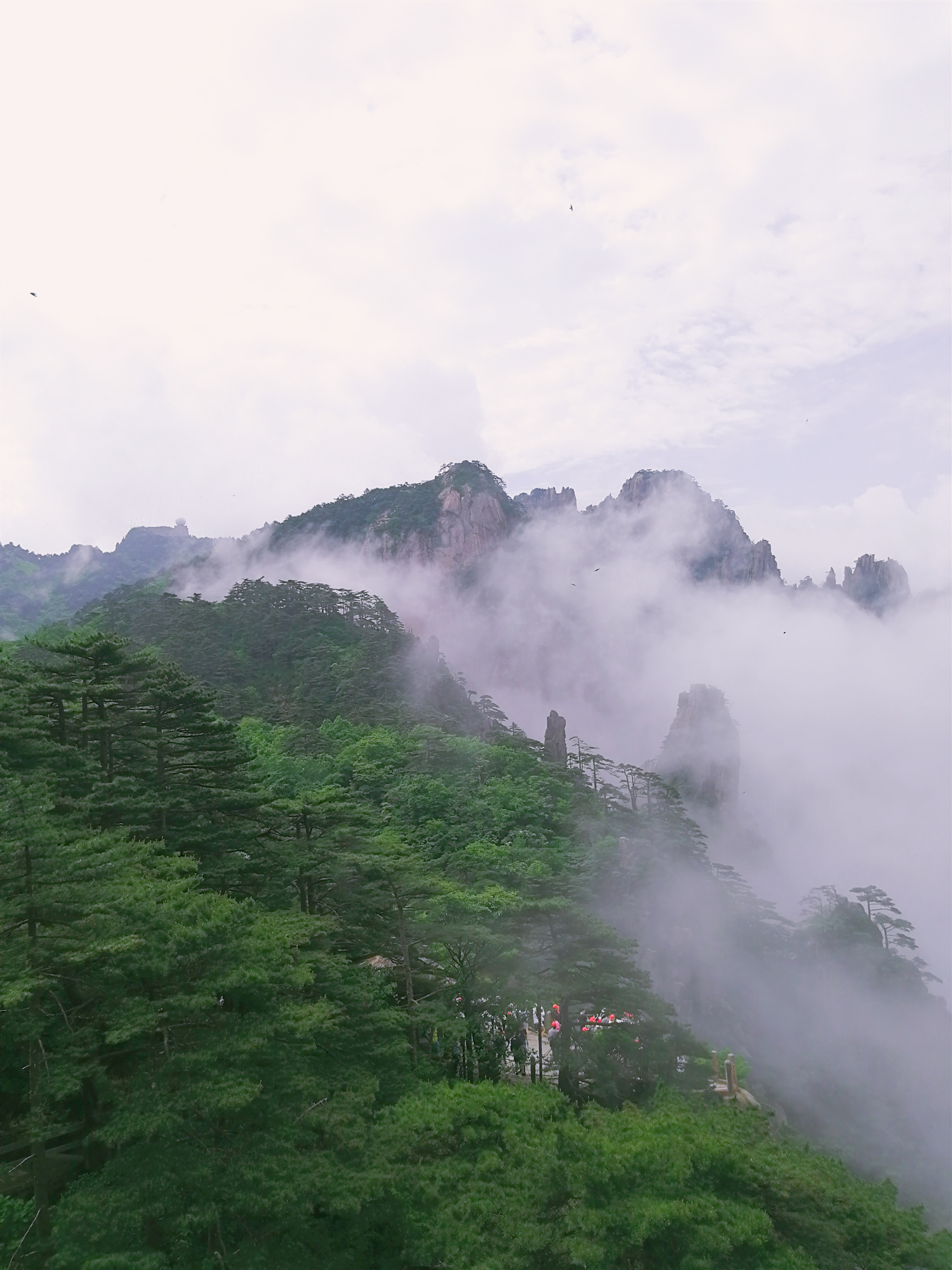 黃山熱門遊記,黃山自助遊遊記,黃山旅遊熱門遊記 - 馬蜂窩