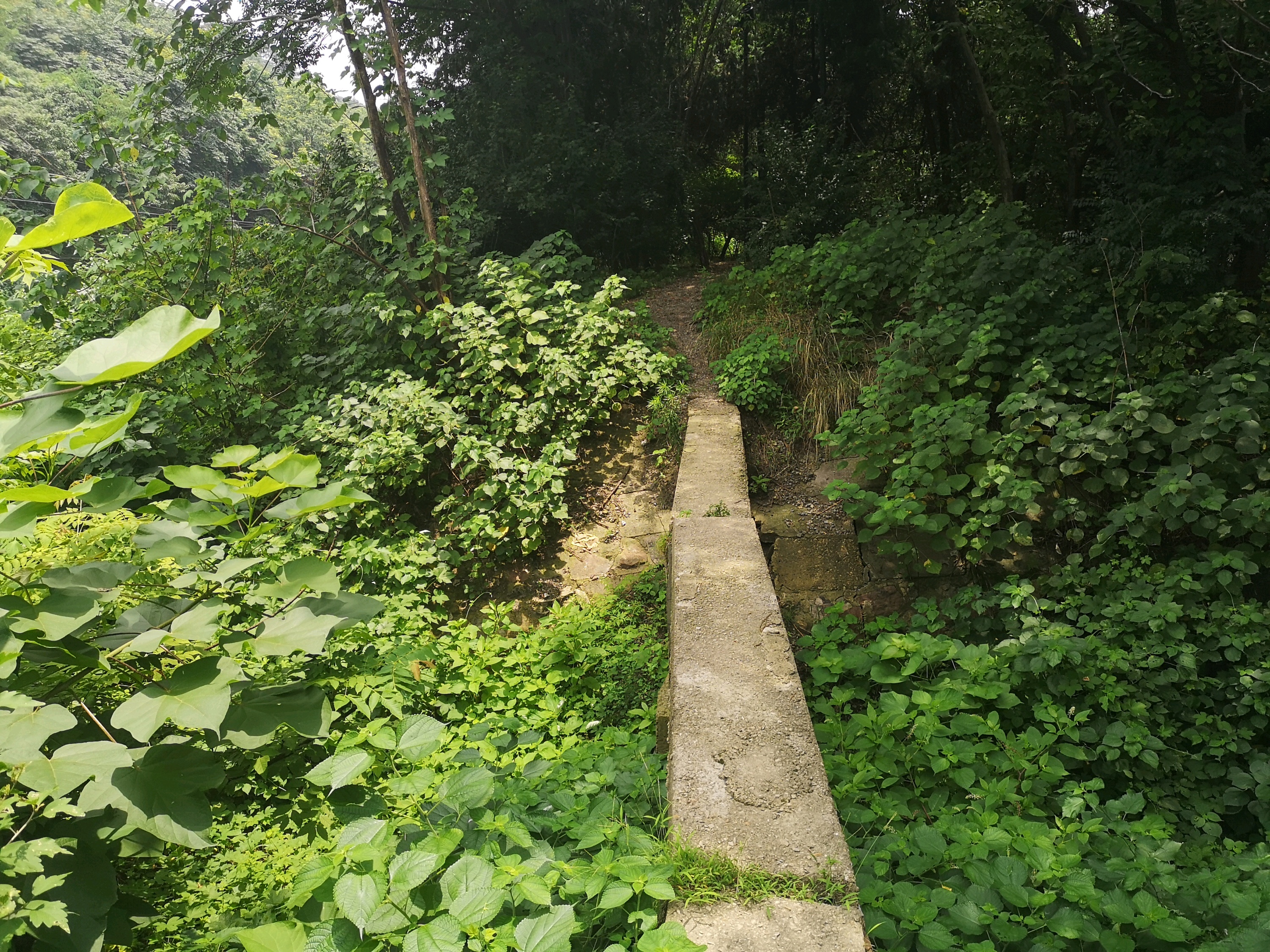 武汉祢衡墓攻略,祢衡墓门票_地址,祢衡墓游览攻略 - 马蜂窝