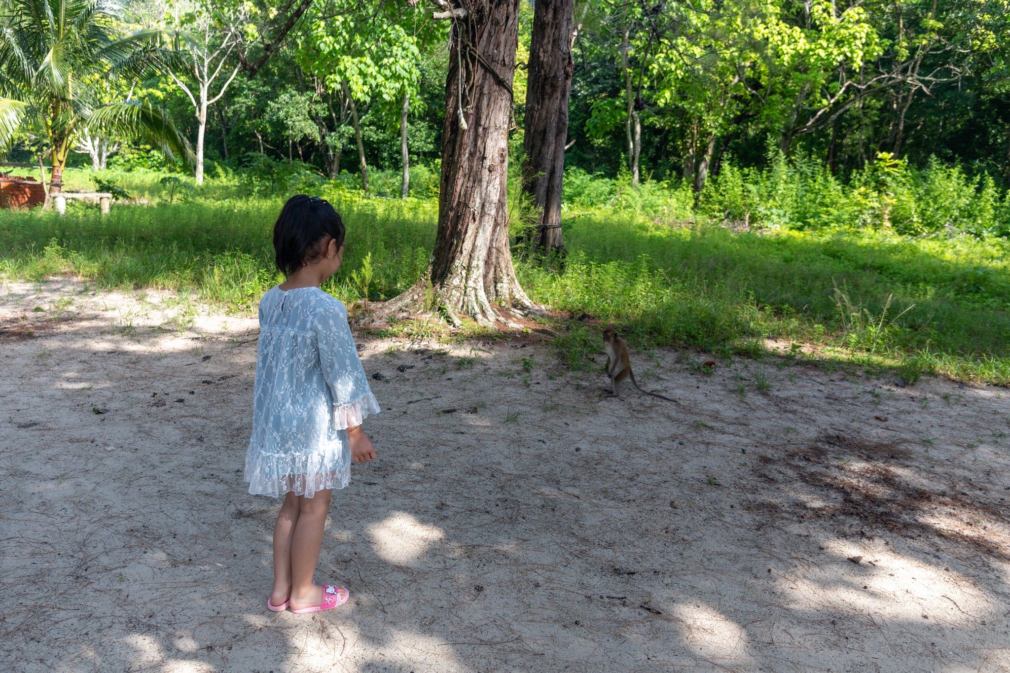 馬來西亞自助遊攻略