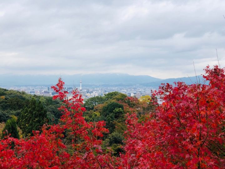 京都自助遊攻略