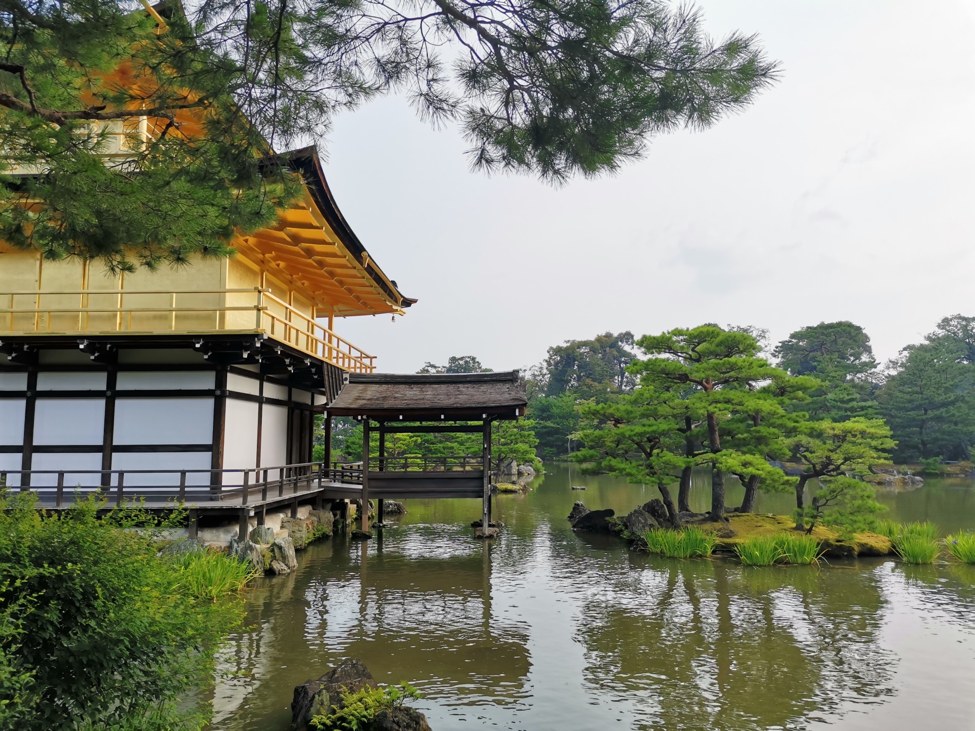 京都自助遊攻略