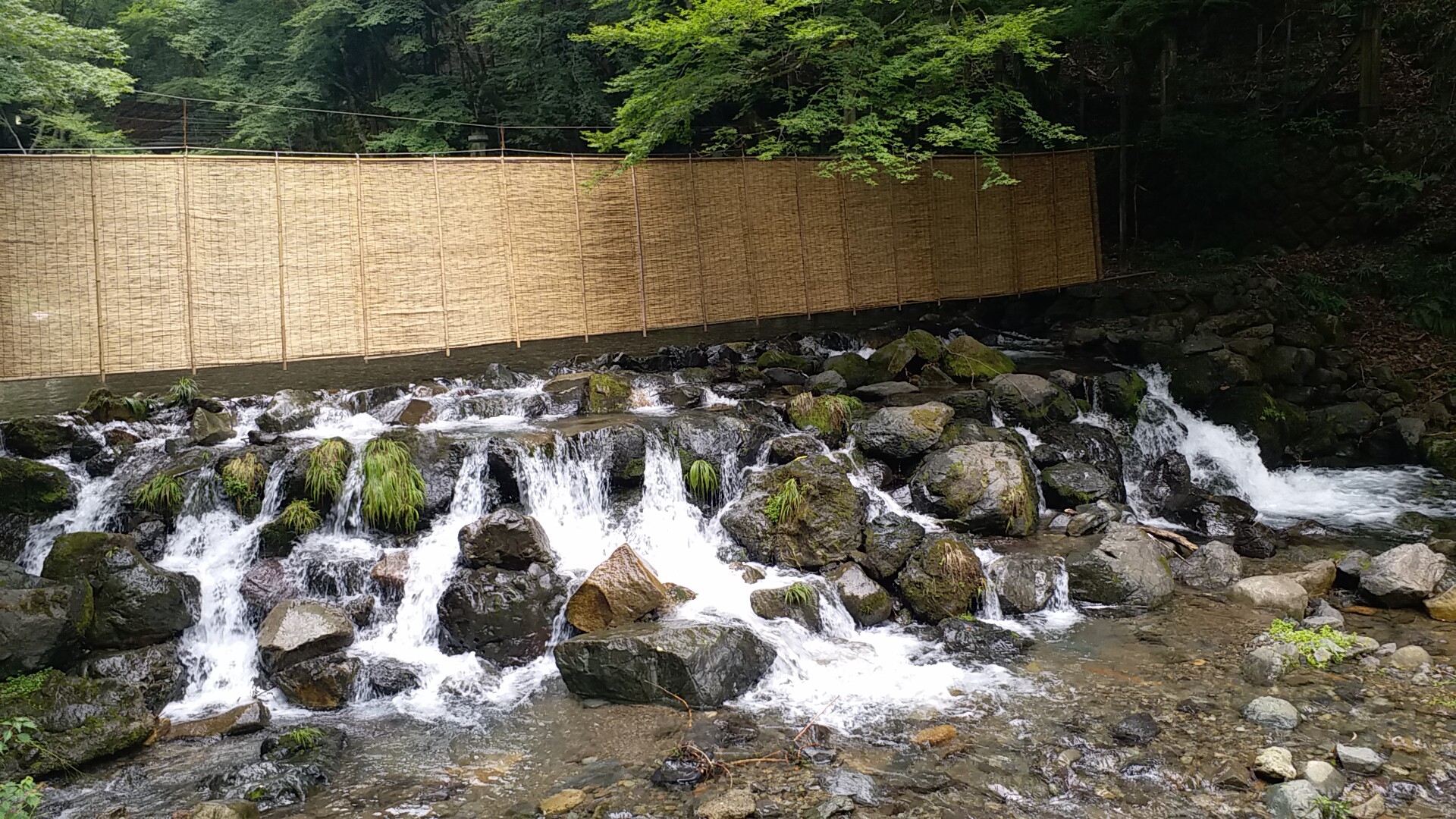 京都自助遊攻略