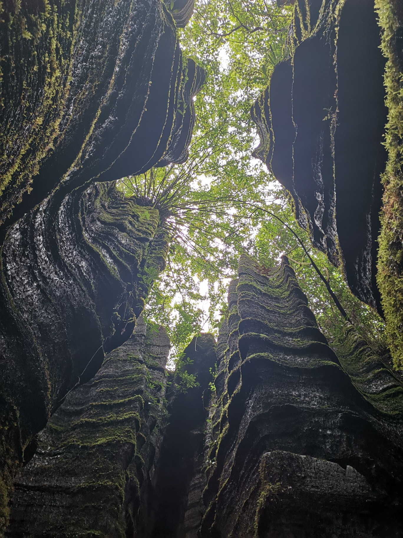 《恩施旅游攻略》梭布垭石林——鬼斧神工之美(含简单实用攻略)