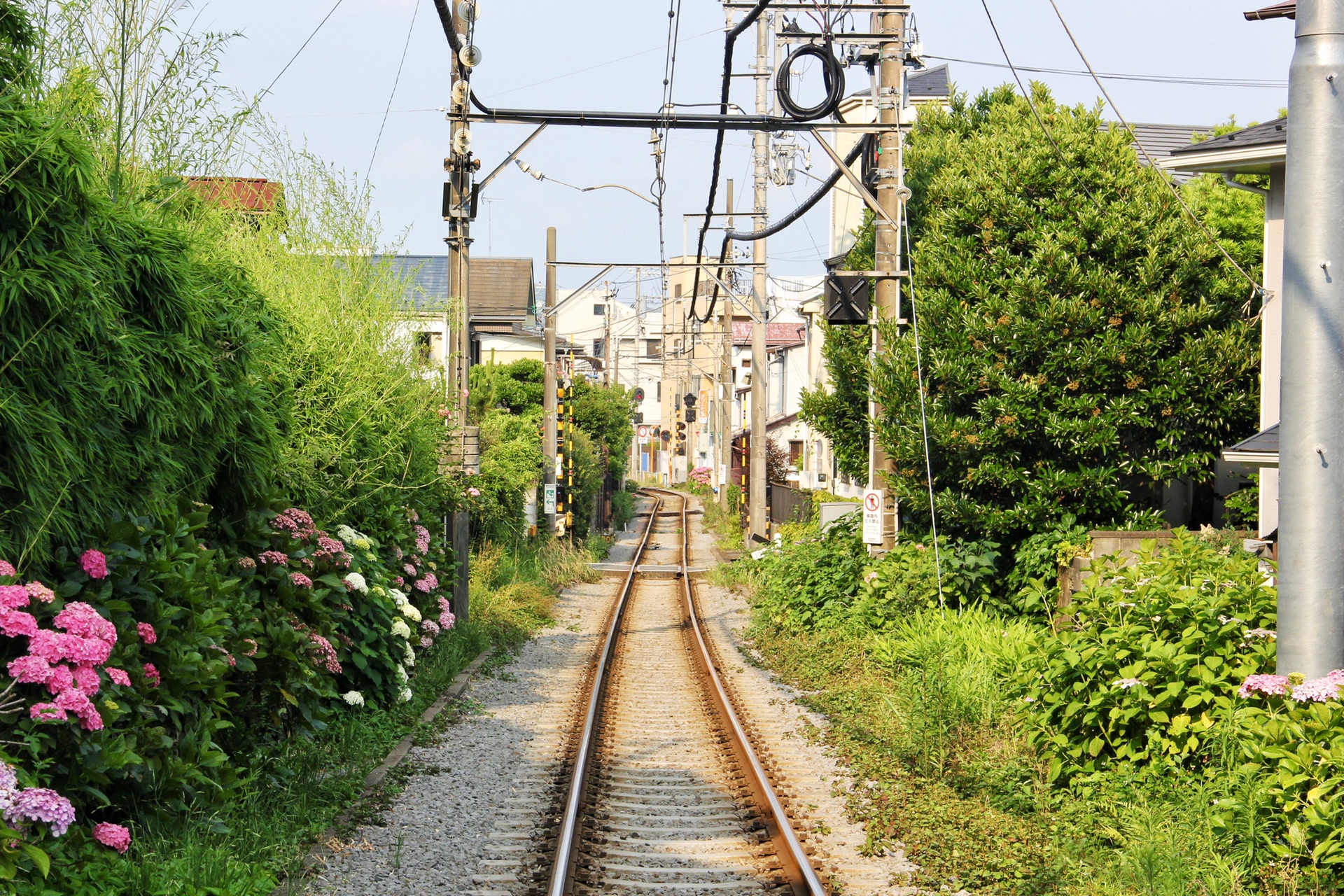 東京自助遊攻略