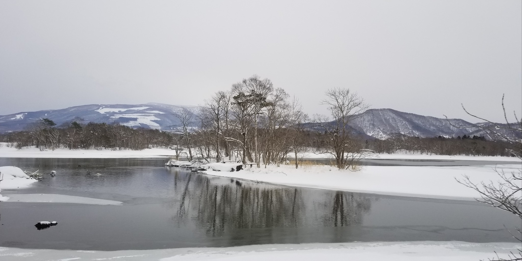 北海道自助遊攻略