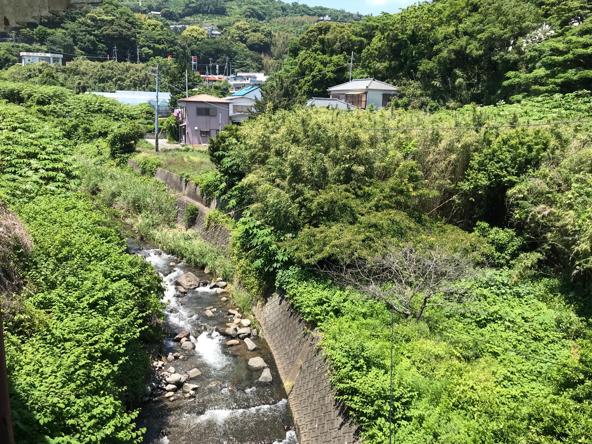 東京自助遊攻略