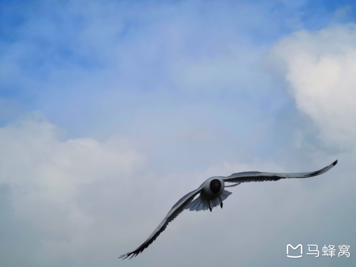 自驾独库公路，有什么注意事项？路况怎么样？