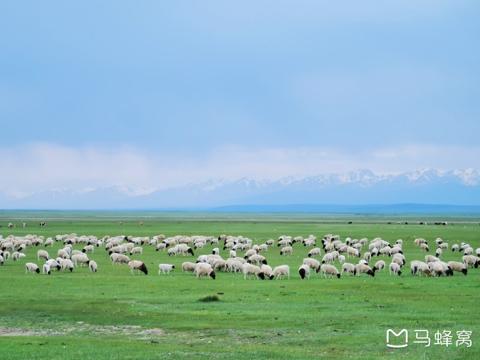 自驾独库公路，有什么注意事项？路况怎么样？