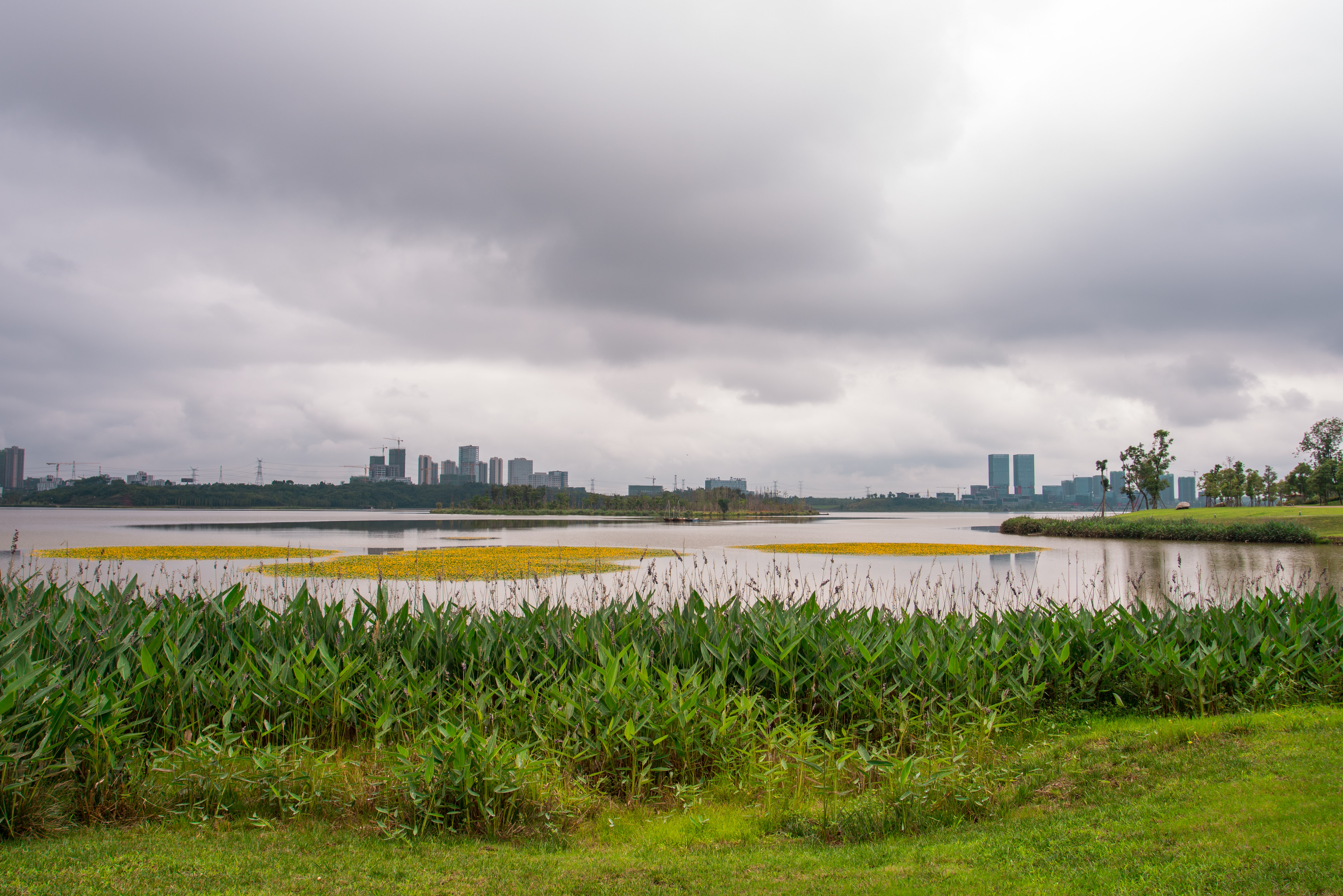 兴隆湖湿地公园