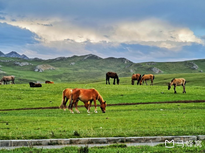 自驾独库公路，有什么注意事项？路况怎么样？