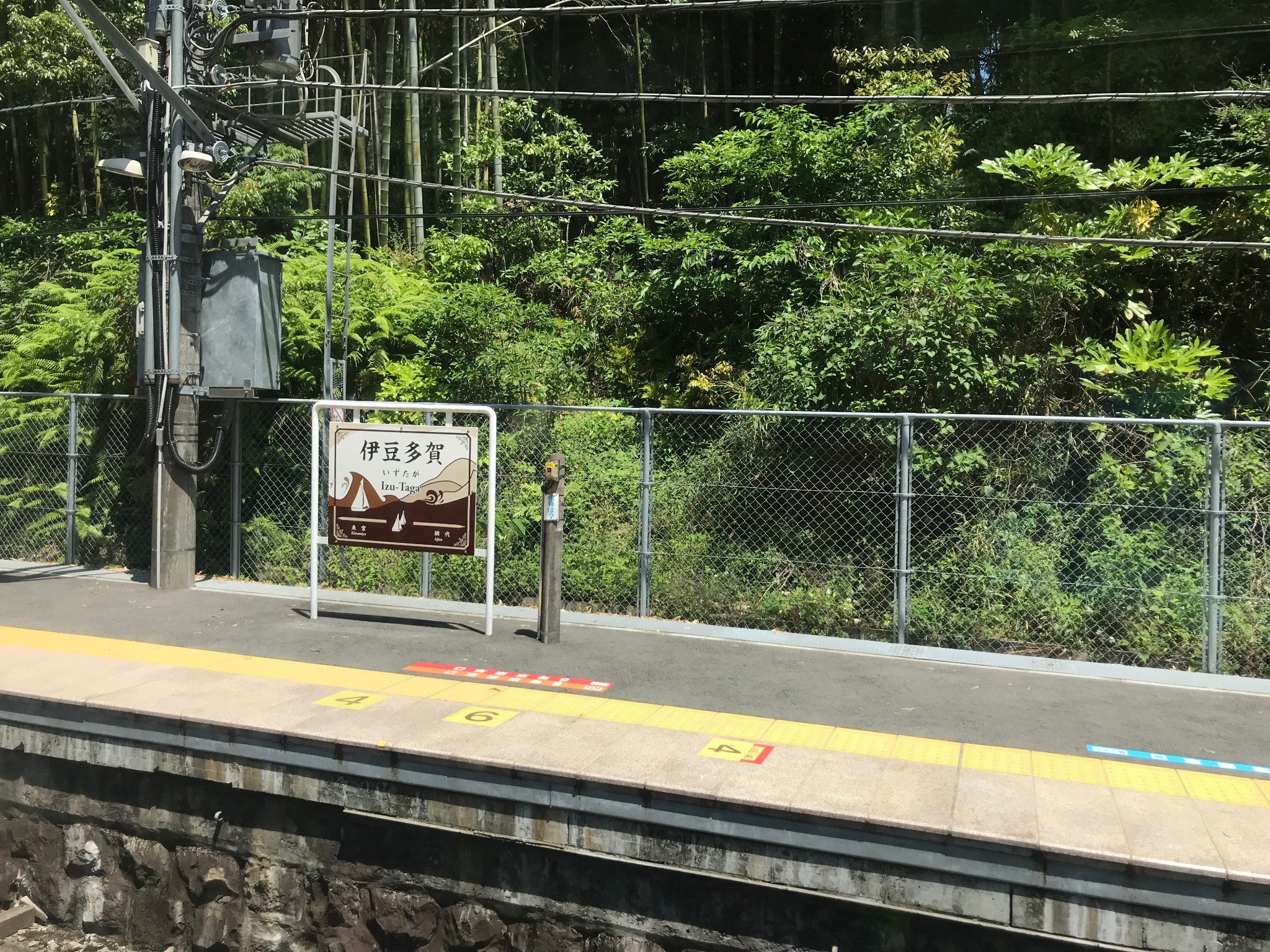 東京自助遊攻略