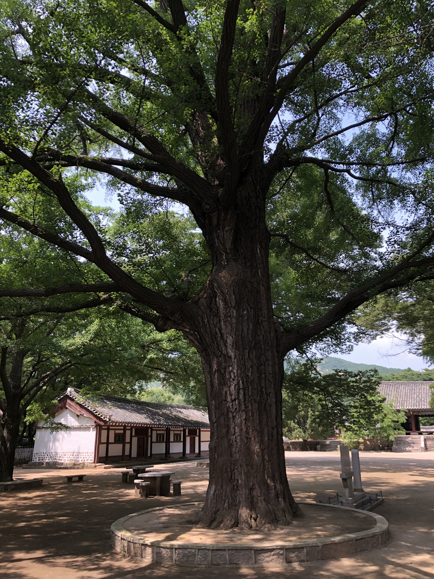 朝鮮半島自助遊攻略