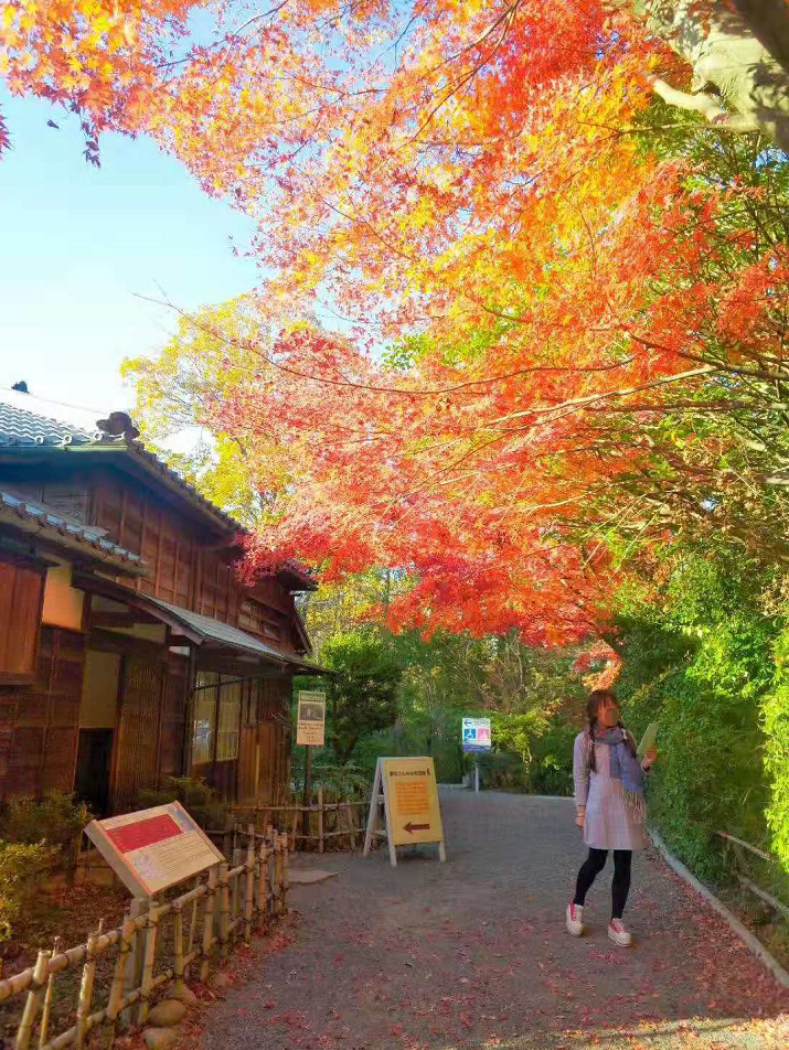 名古屋自助遊攻略