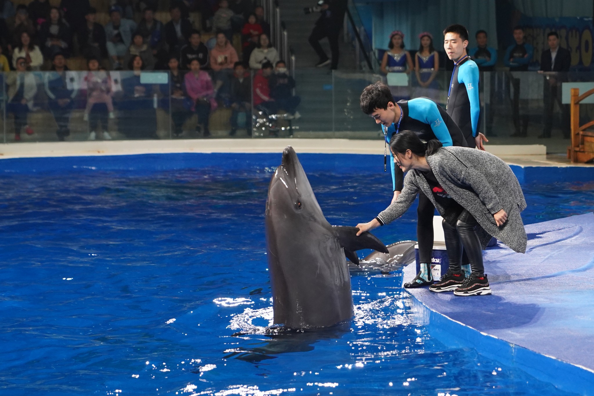 日照海洋公園 原來它不只是個海洋館