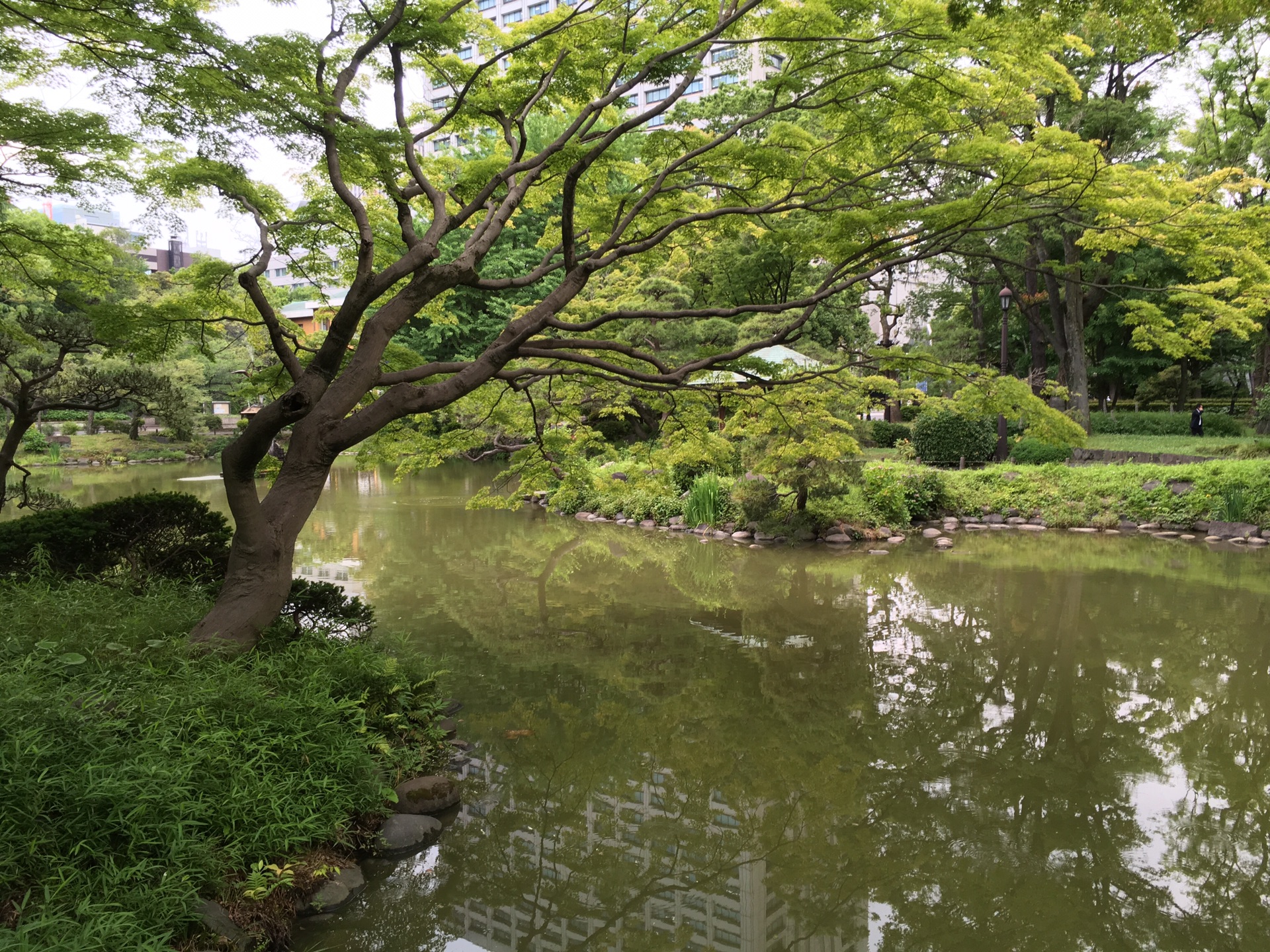 東京自助遊攻略