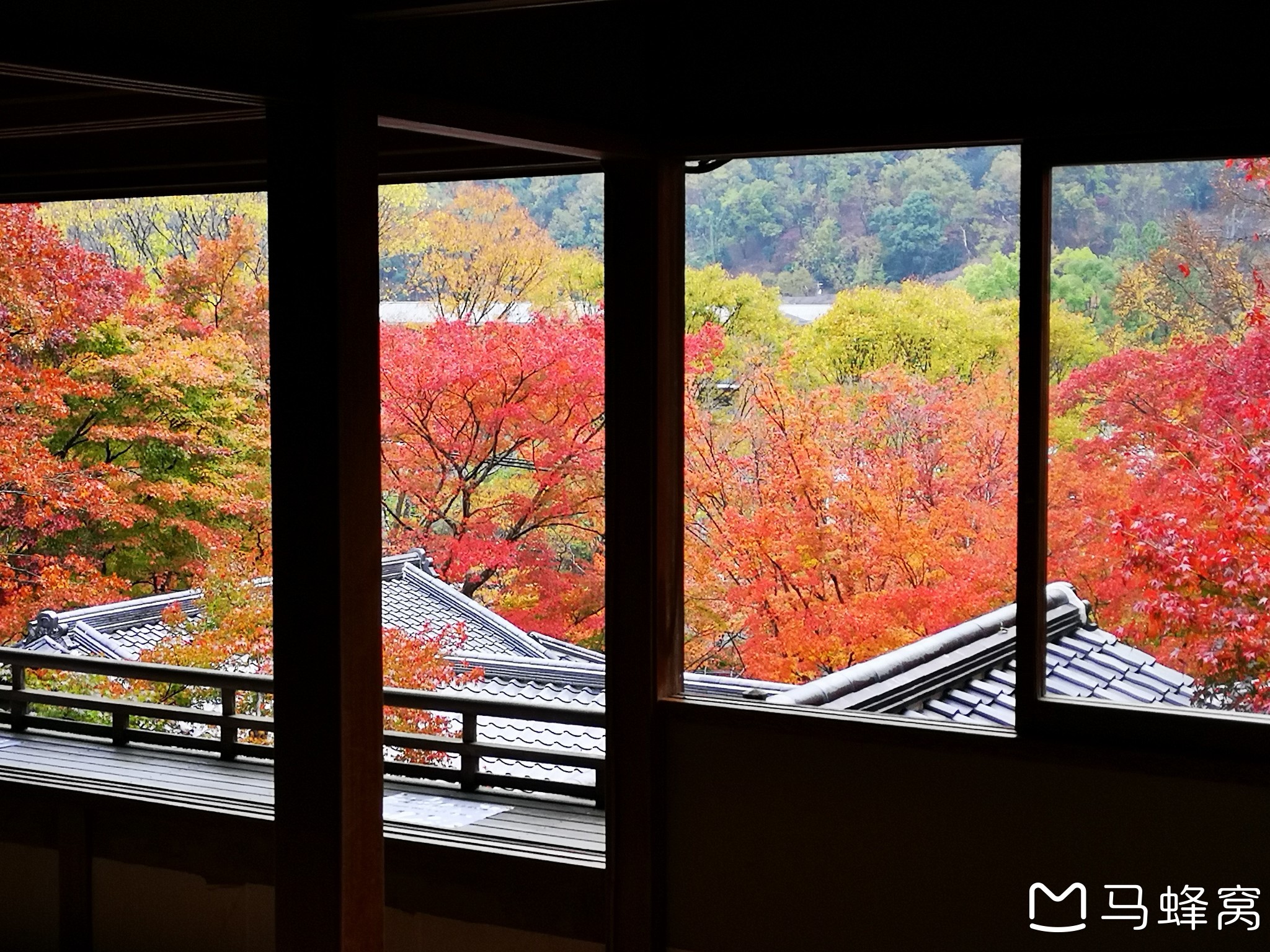 京都自助遊攻略