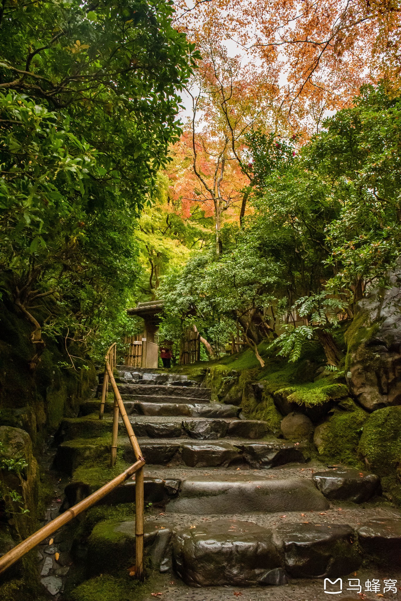 京都自助遊攻略