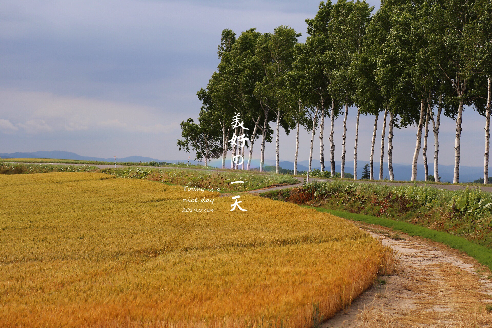 北海道自助遊攻略