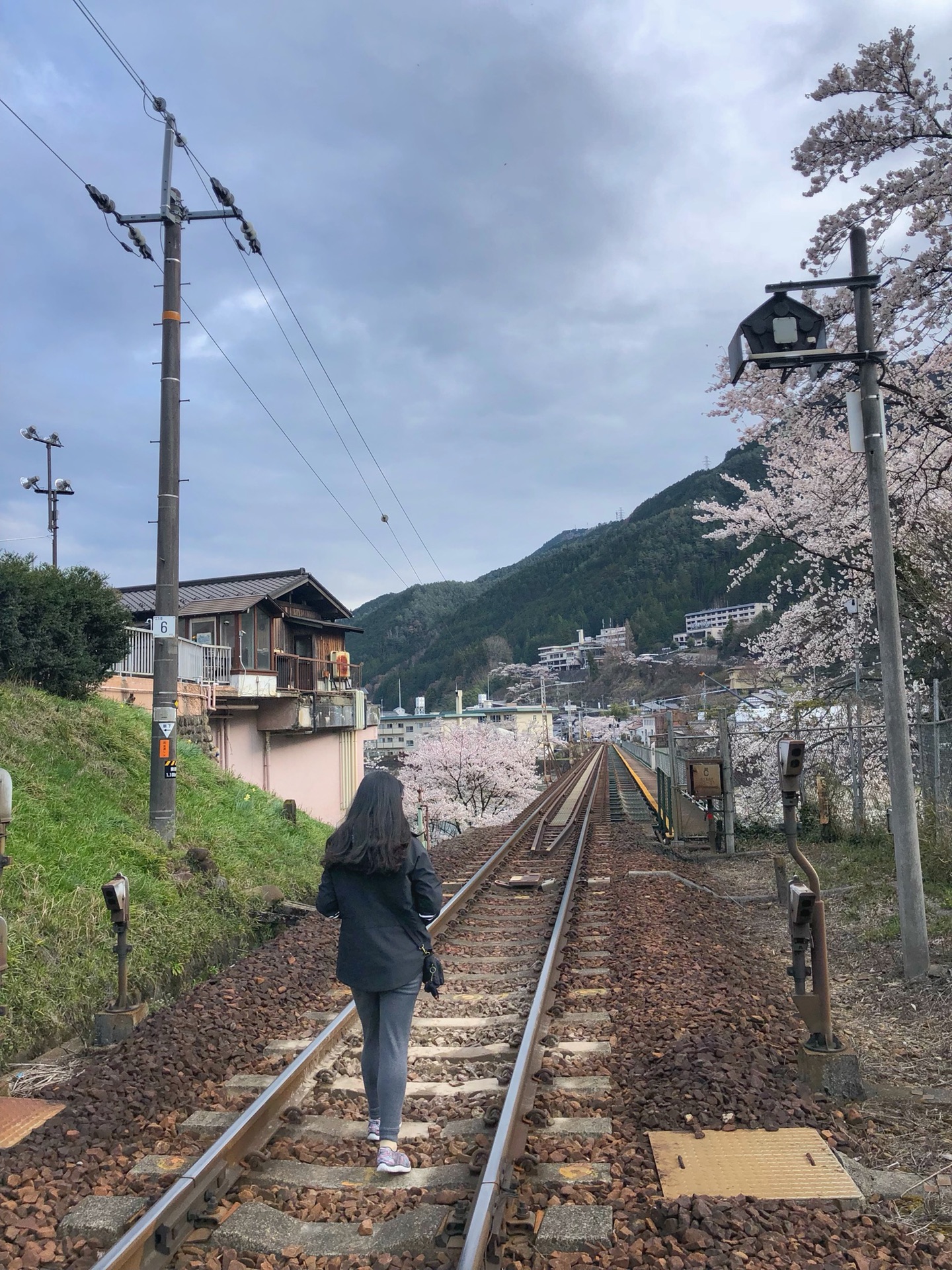 名古屋自助遊攻略