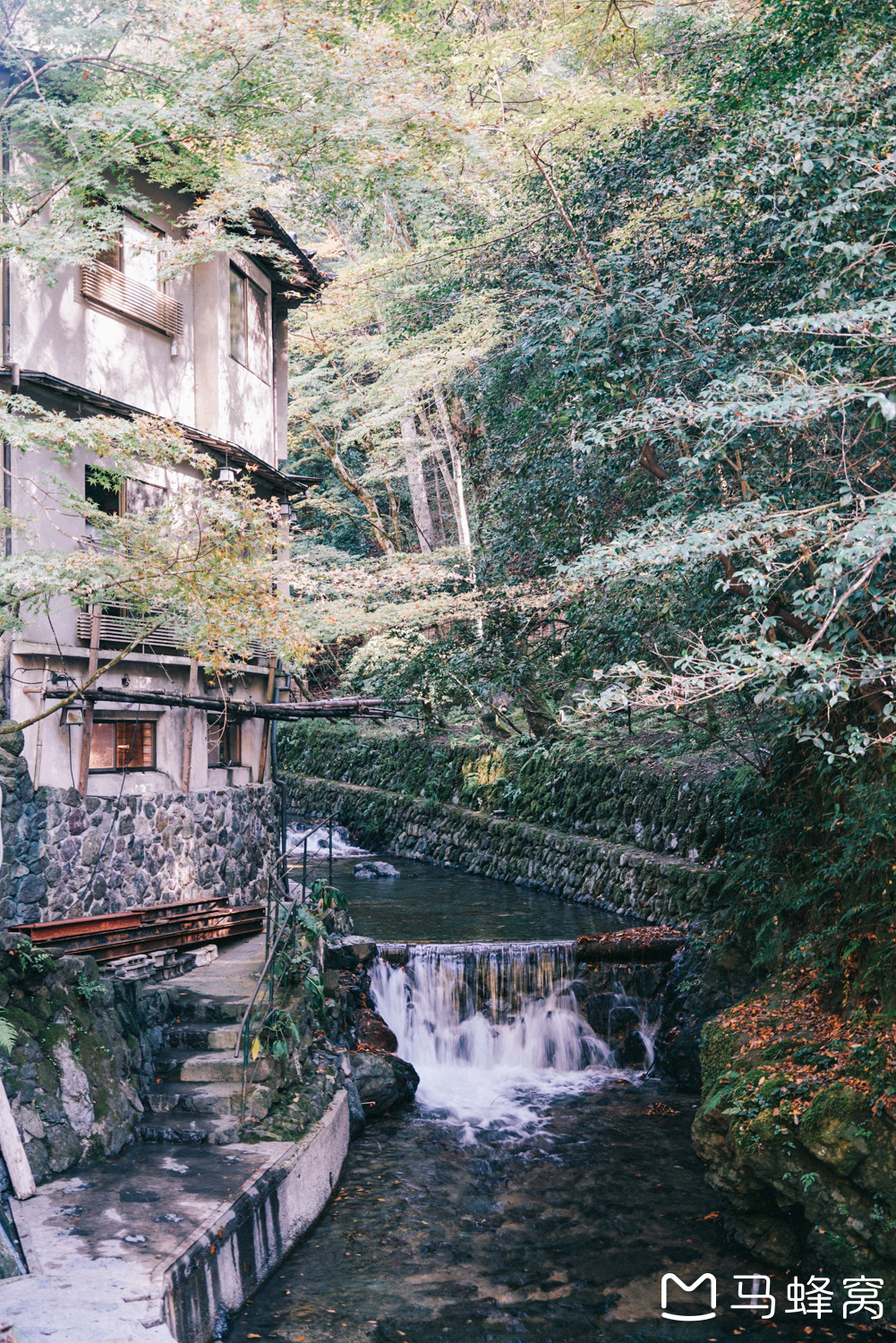 京都自助遊攻略