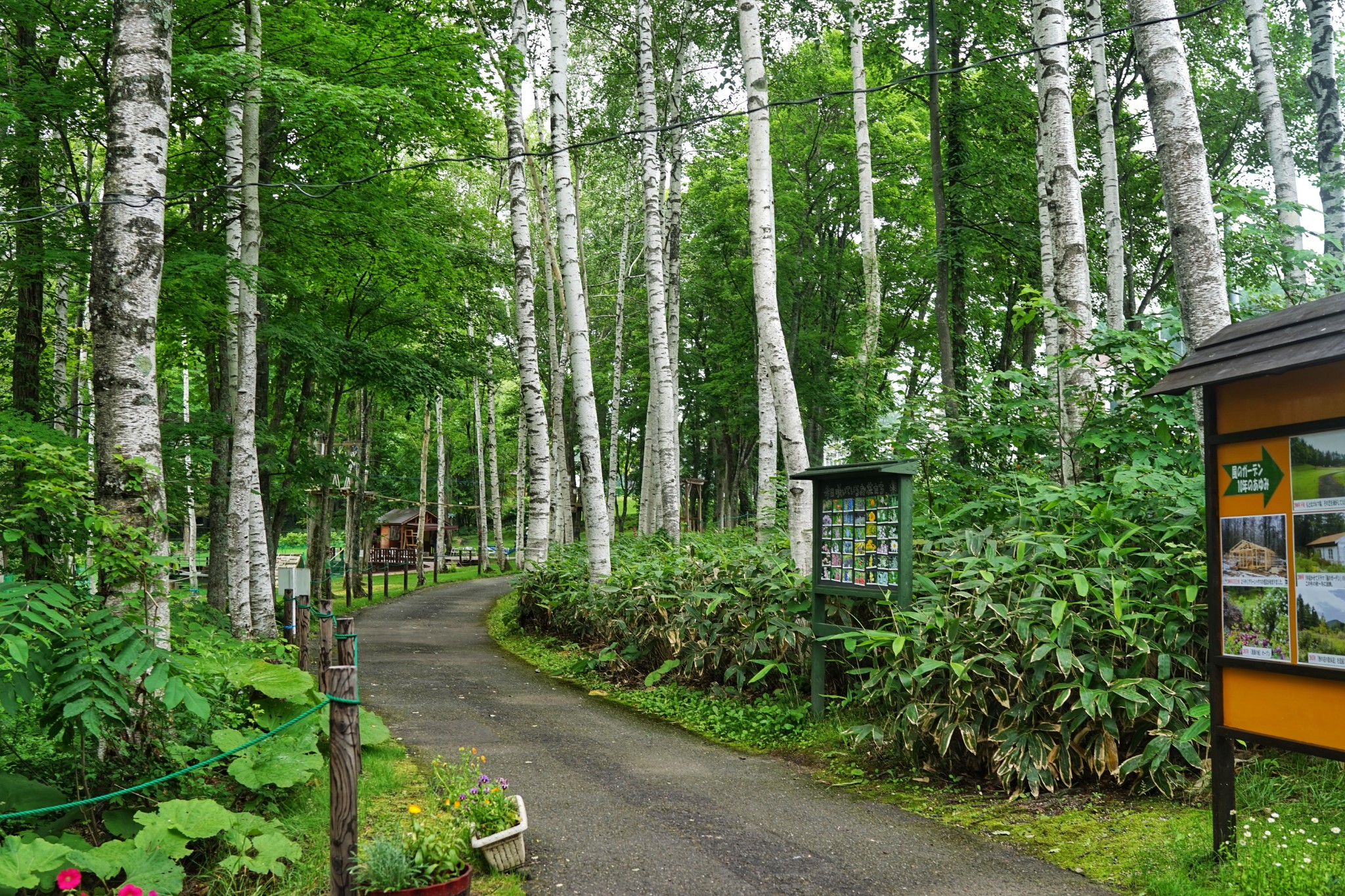 北海道自助遊攻略