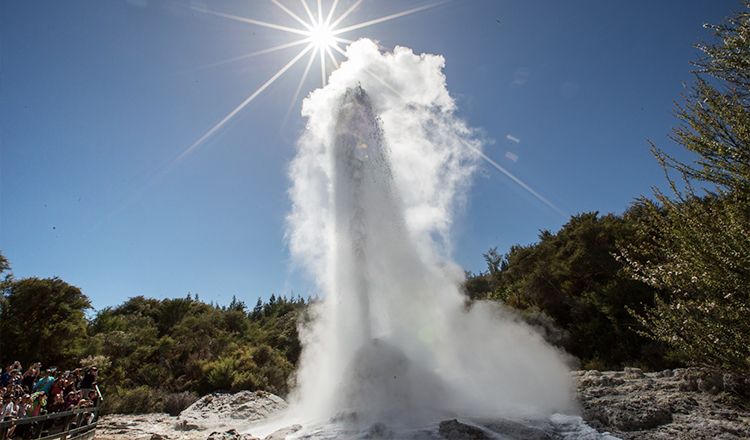 新西兰罗托鲁瓦怀欧塔普地热公园门票(每天一次间歇喷泉 五彩缤香槟池