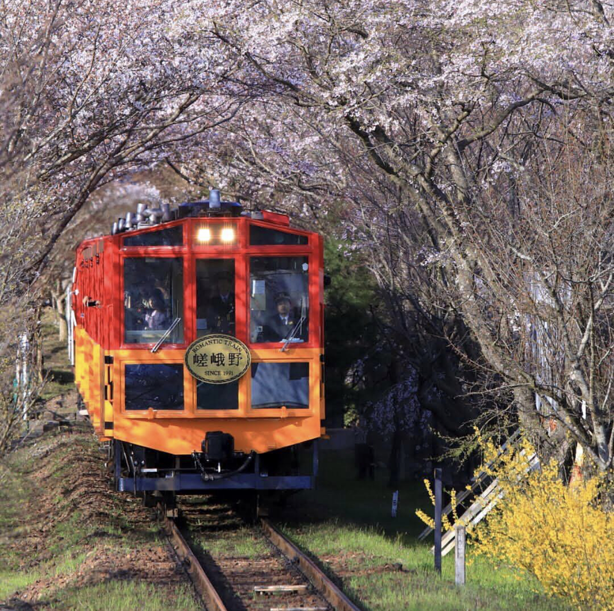 超详细京都网红岚山小火车指南(内附购票 游玩信息)