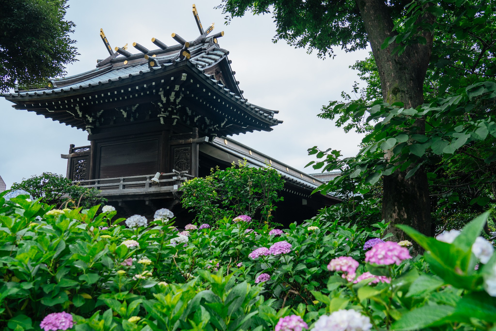 東京自助遊攻略