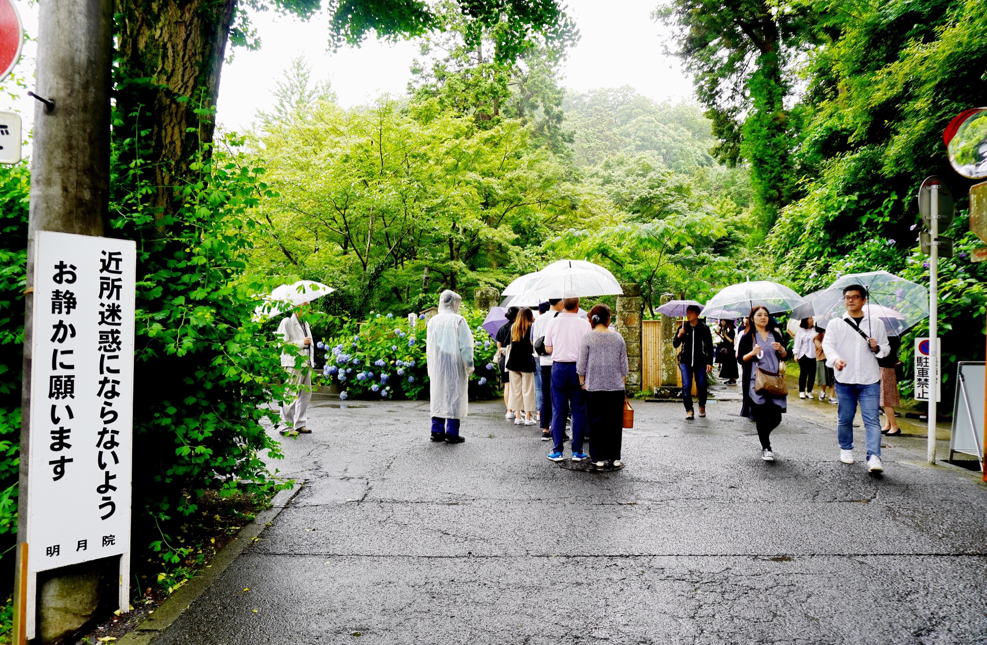 東京自助遊攻略