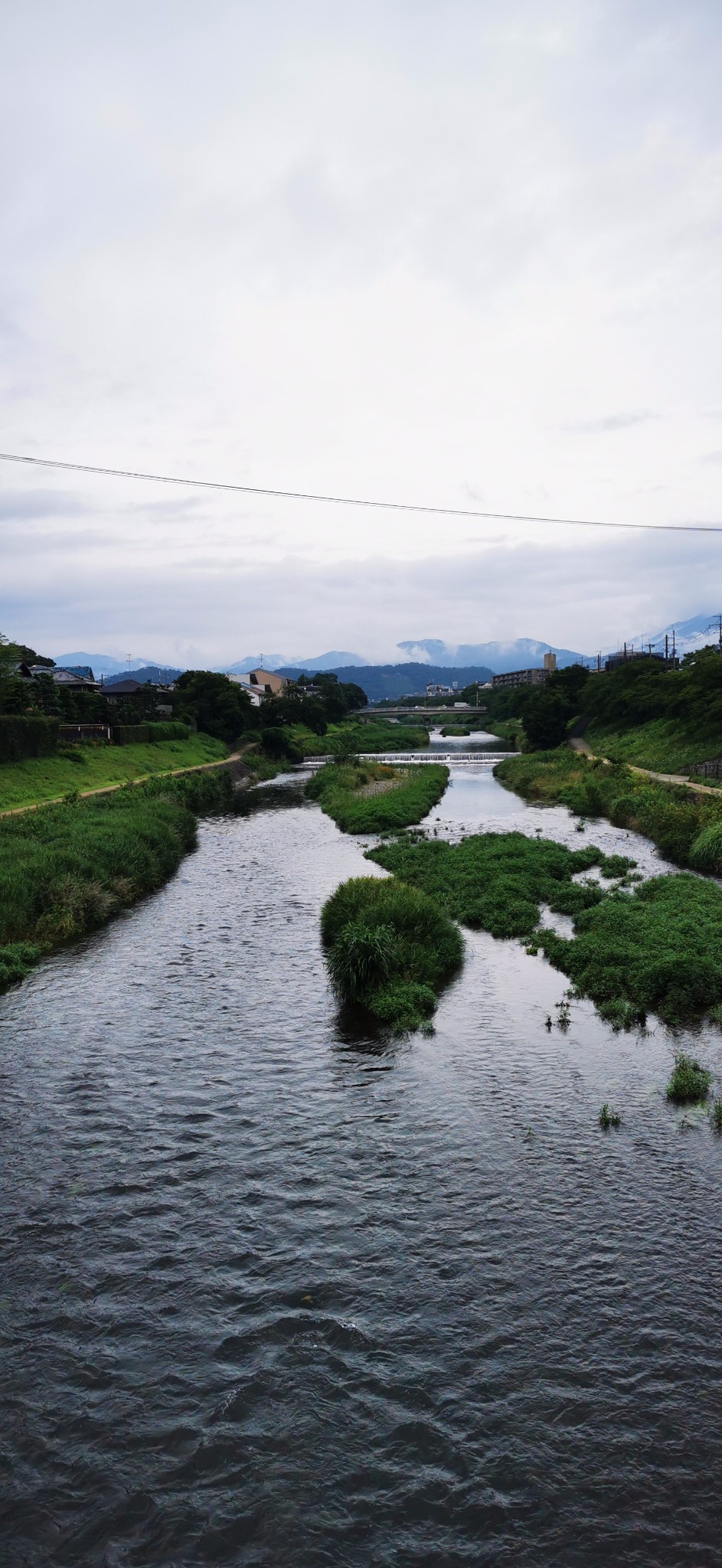 京都自助遊攻略