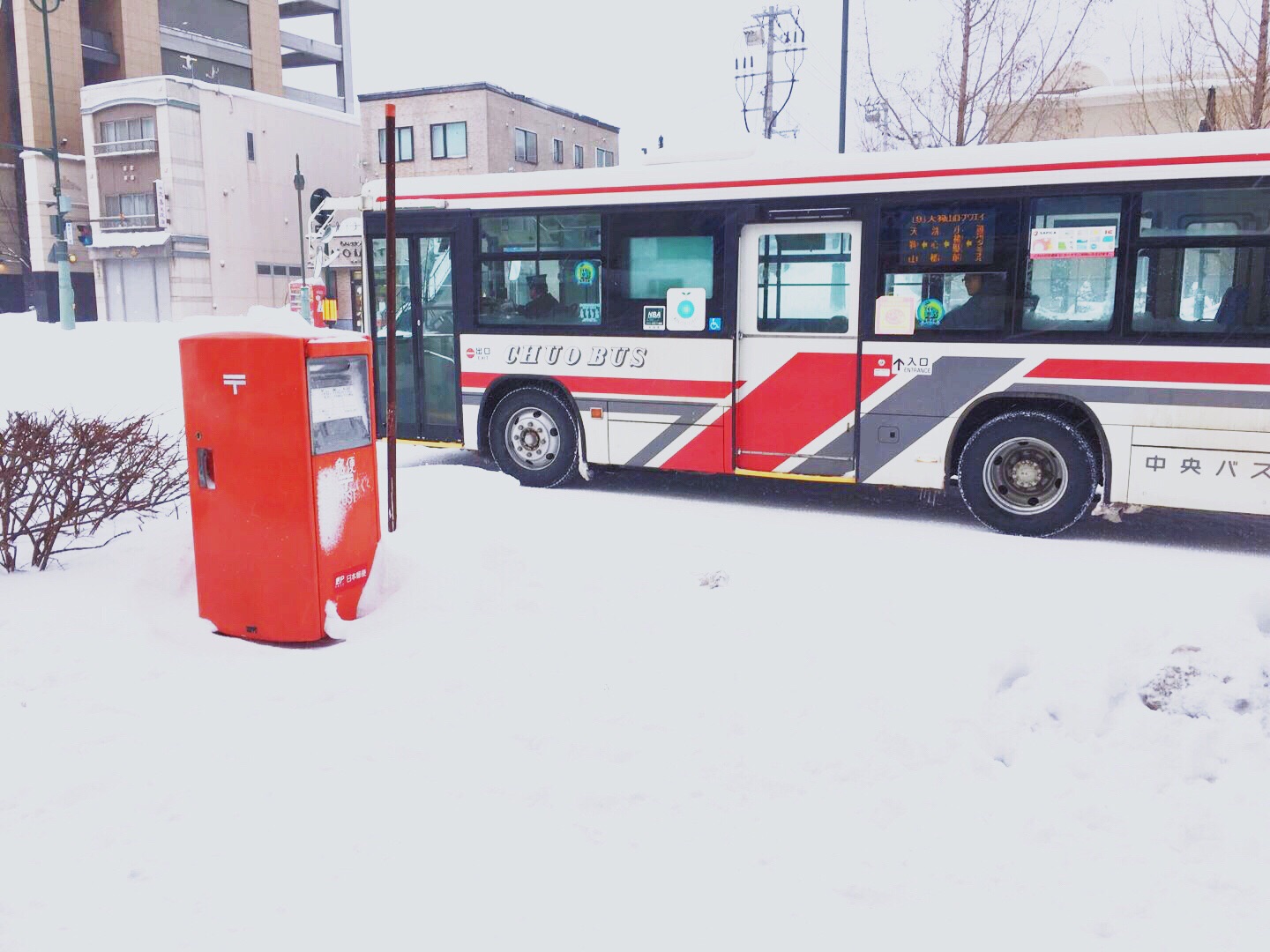 北海道自助遊攻略