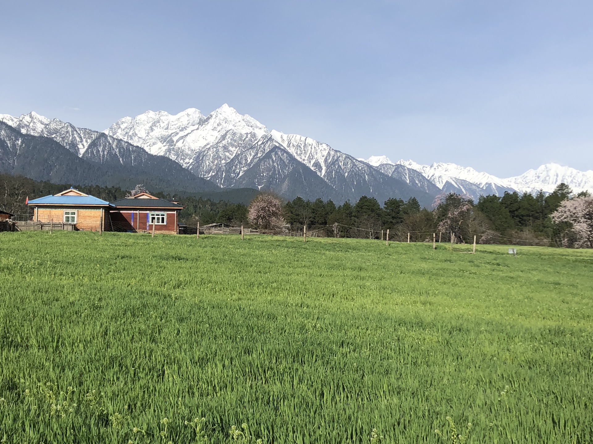 游西藏美景之三波密巴卡村&岗乡