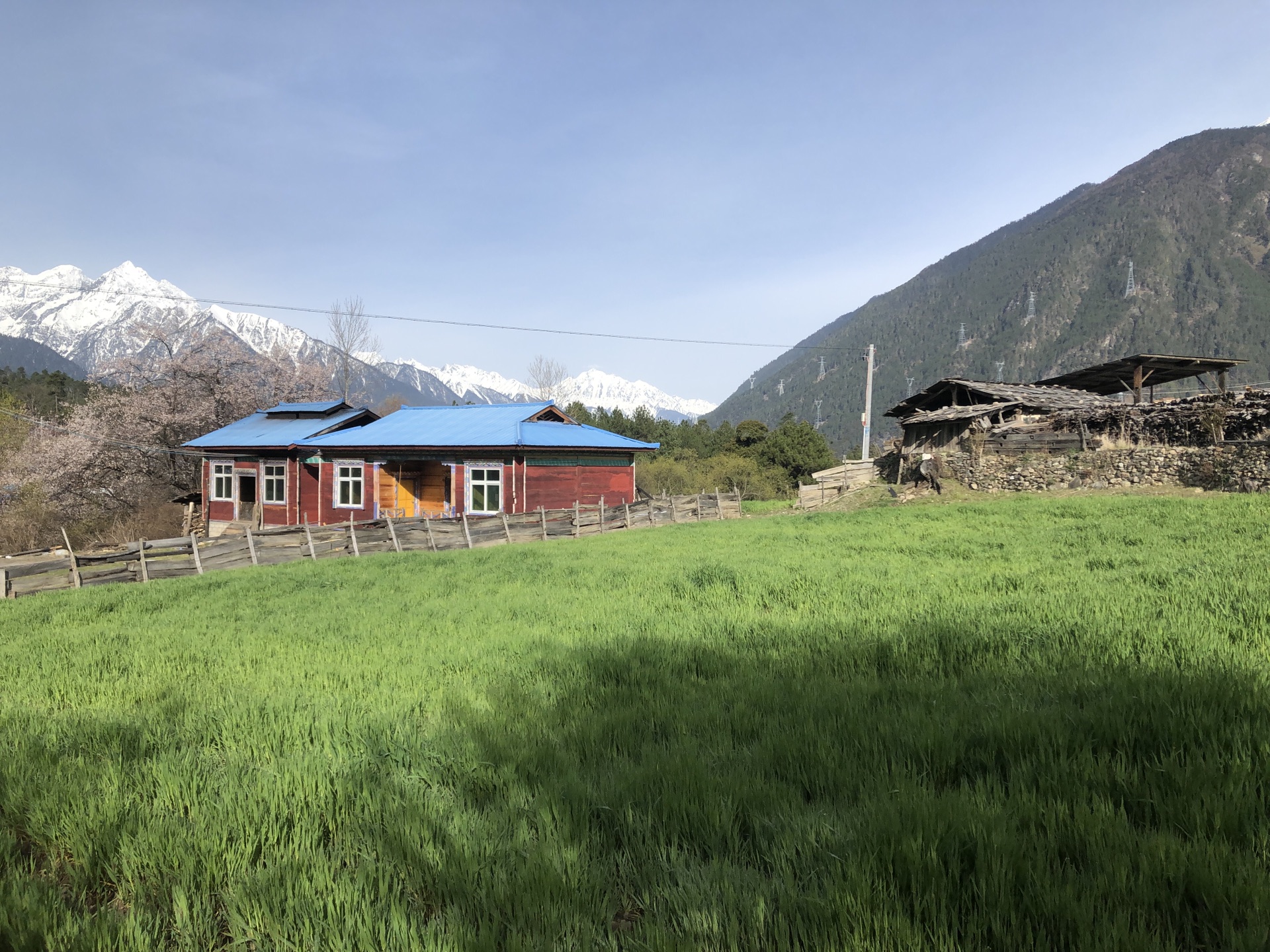 游西藏美景之三波密巴卡村&岗乡