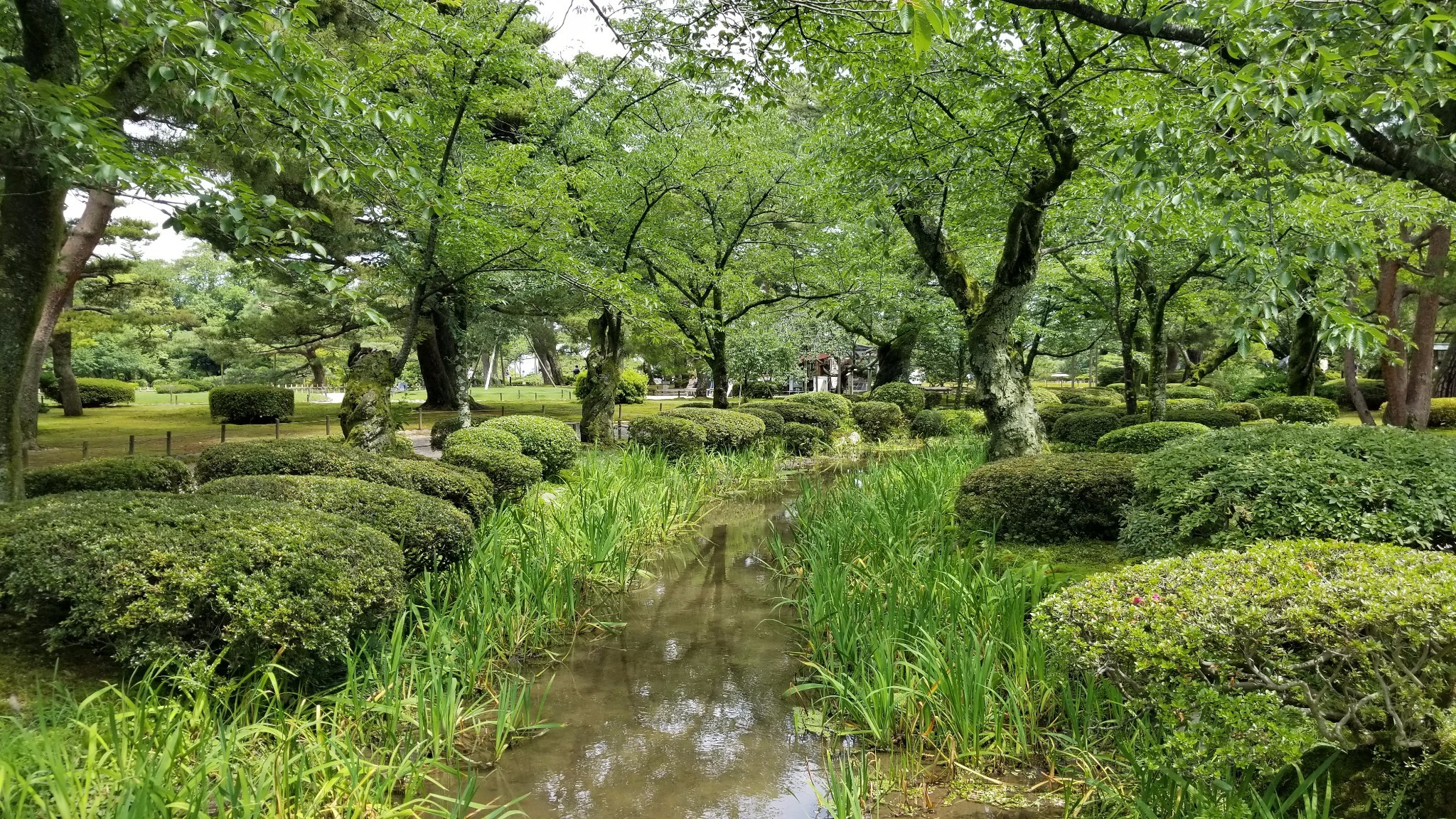 名古屋自助遊攻略