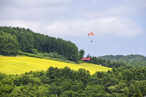 北海道自助遊攻略