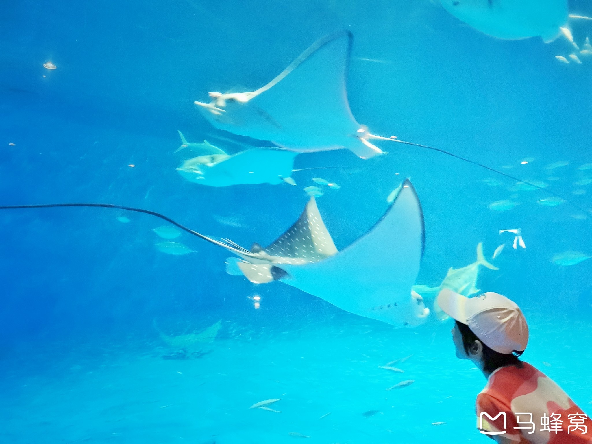 鹿儿岛水族馆