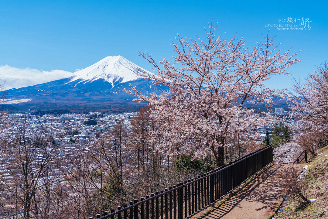 富士山自助遊攻略