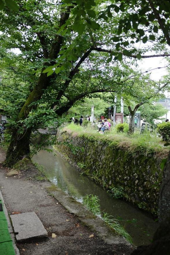 京都自助遊攻略